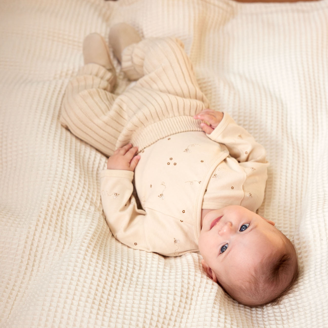 Lou Cotton Knit Pants / Almond