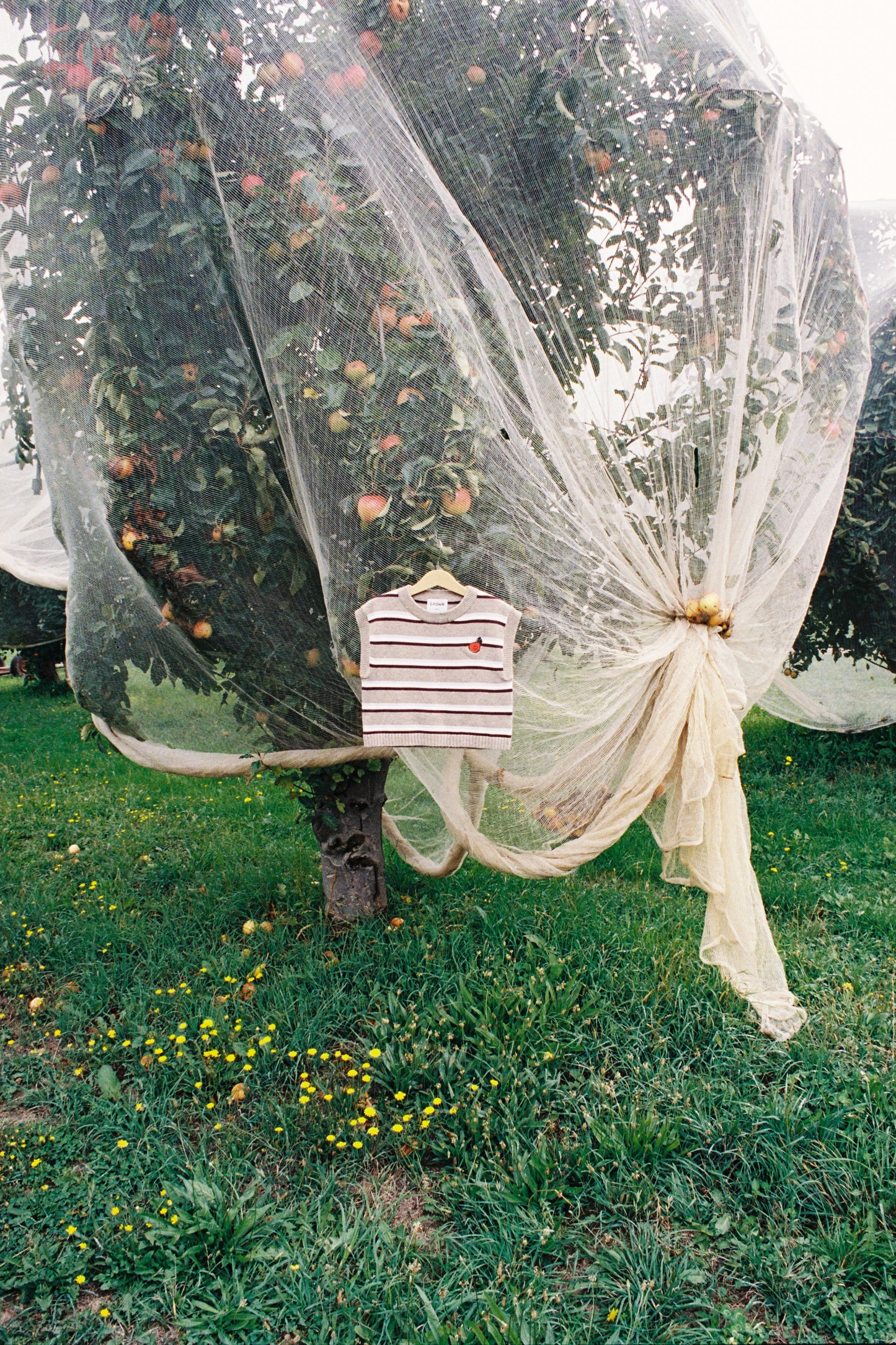 Organic Stripe Apple Knit Vest