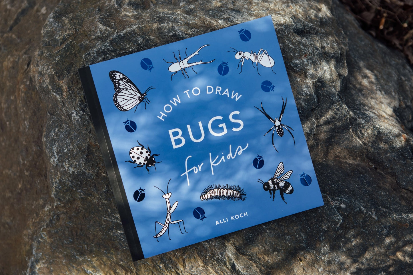 How to Draw Art Book / Bugs