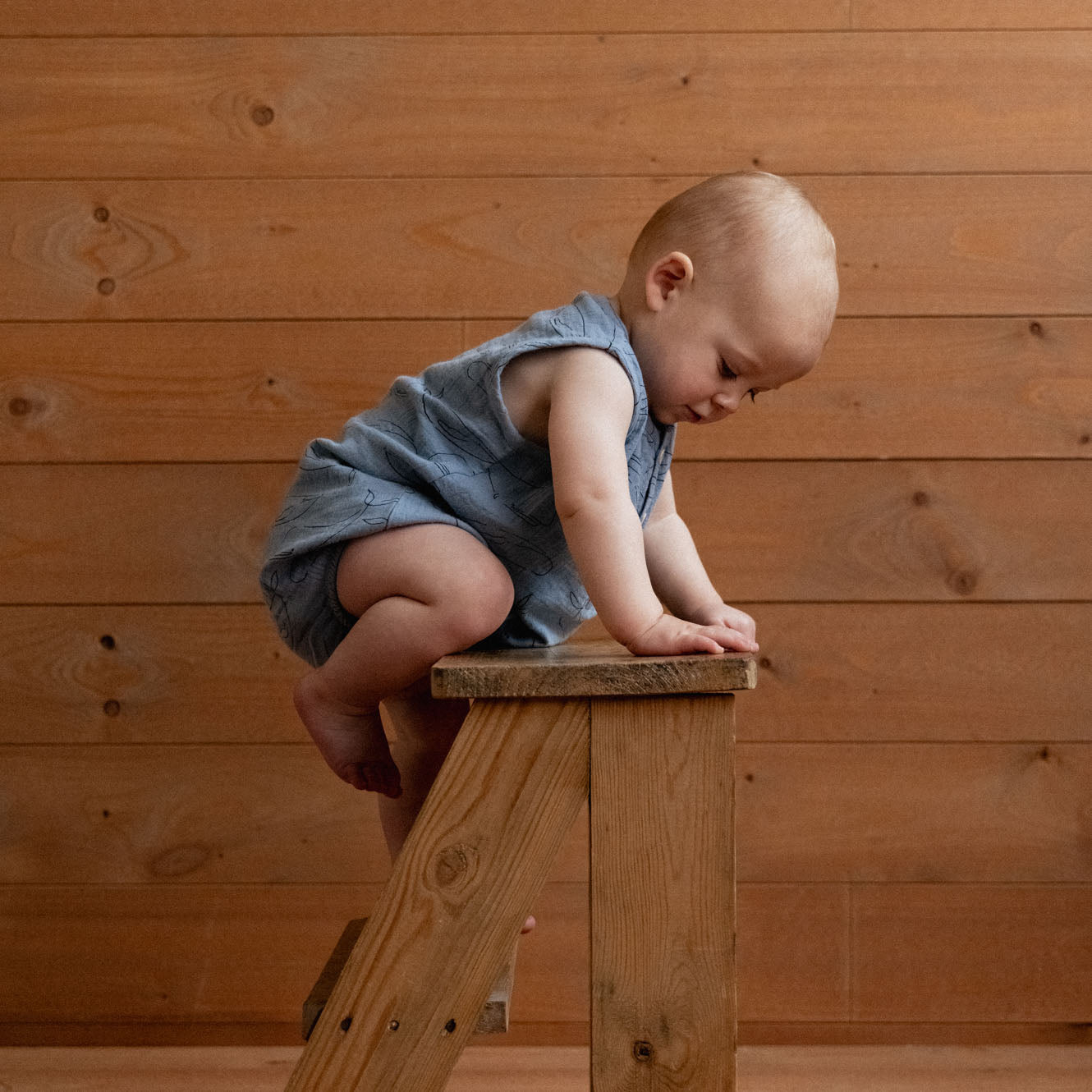 Cedar Suit Muslin / Blue Whale