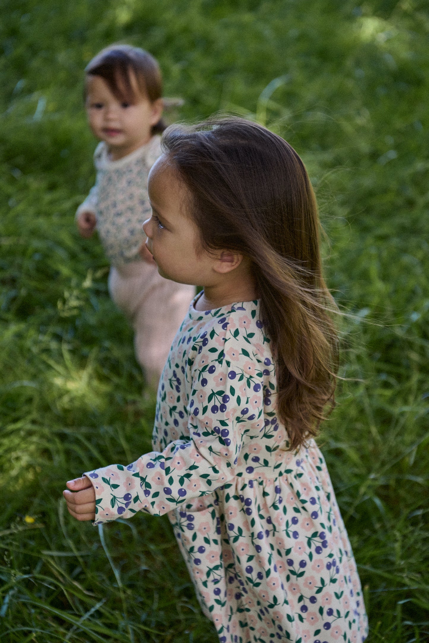 Long Sleeve Twirl Dress / Grande Briarwood