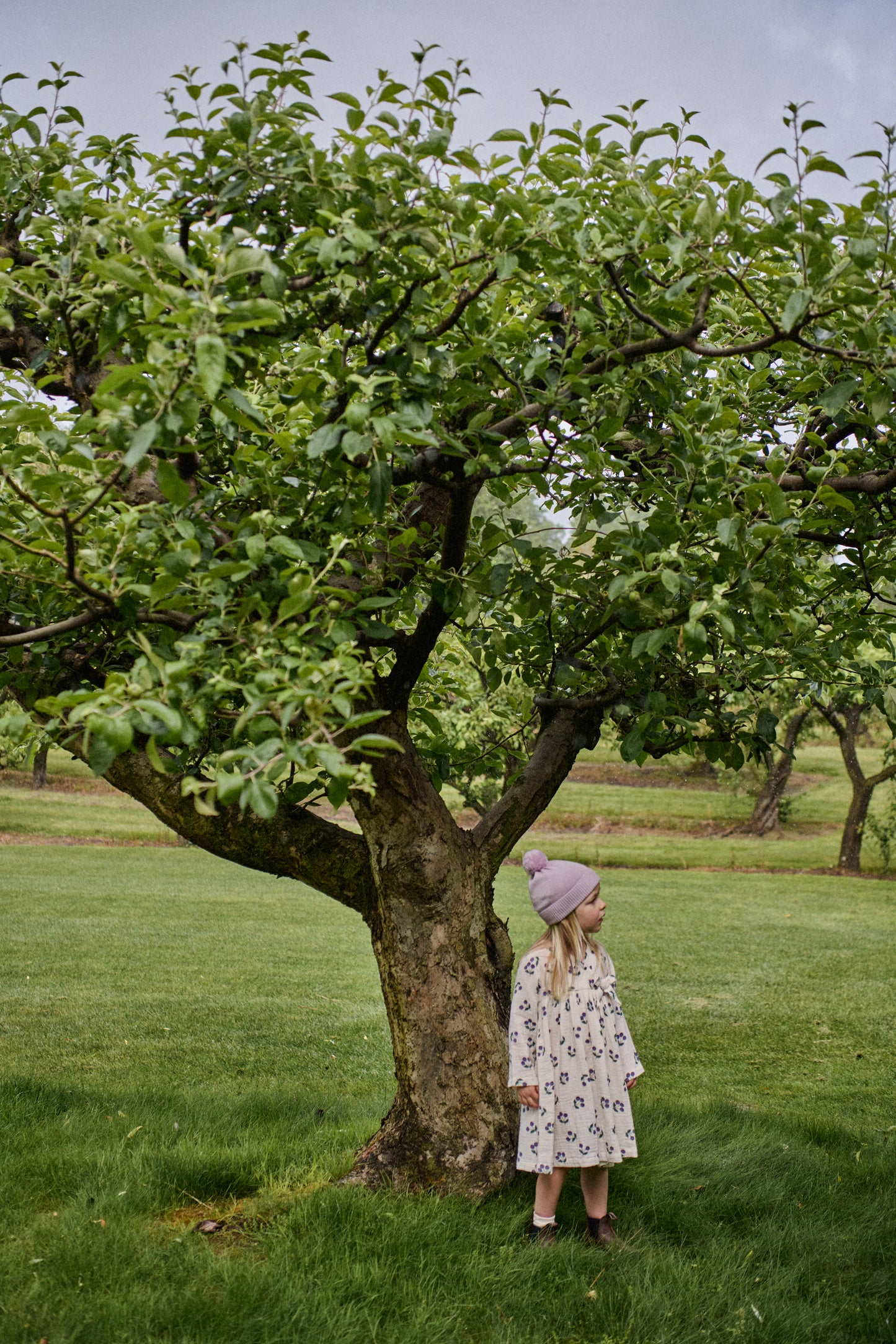 Mabel Dress / Winter Berry