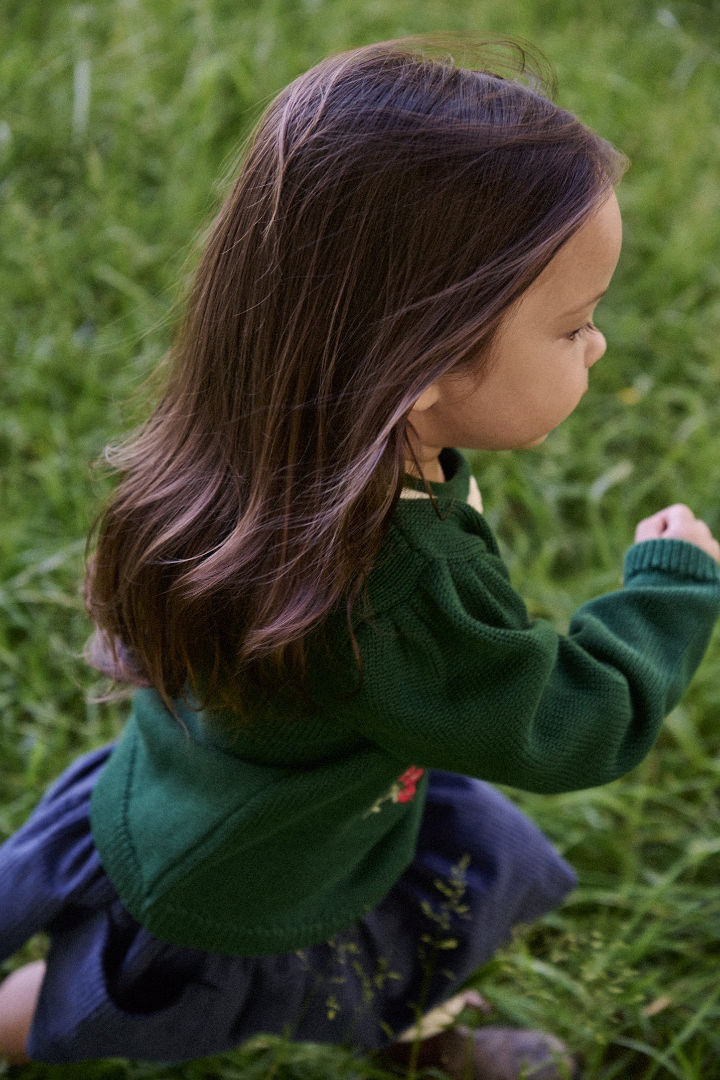 Margot Sweater / Eden Garden