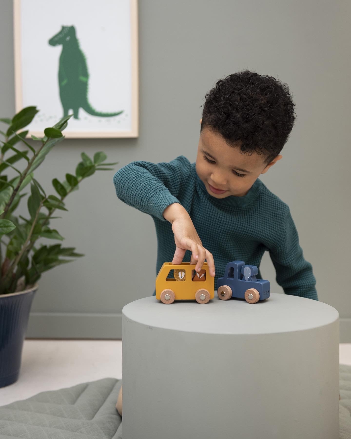 Wooden Animal Car Set