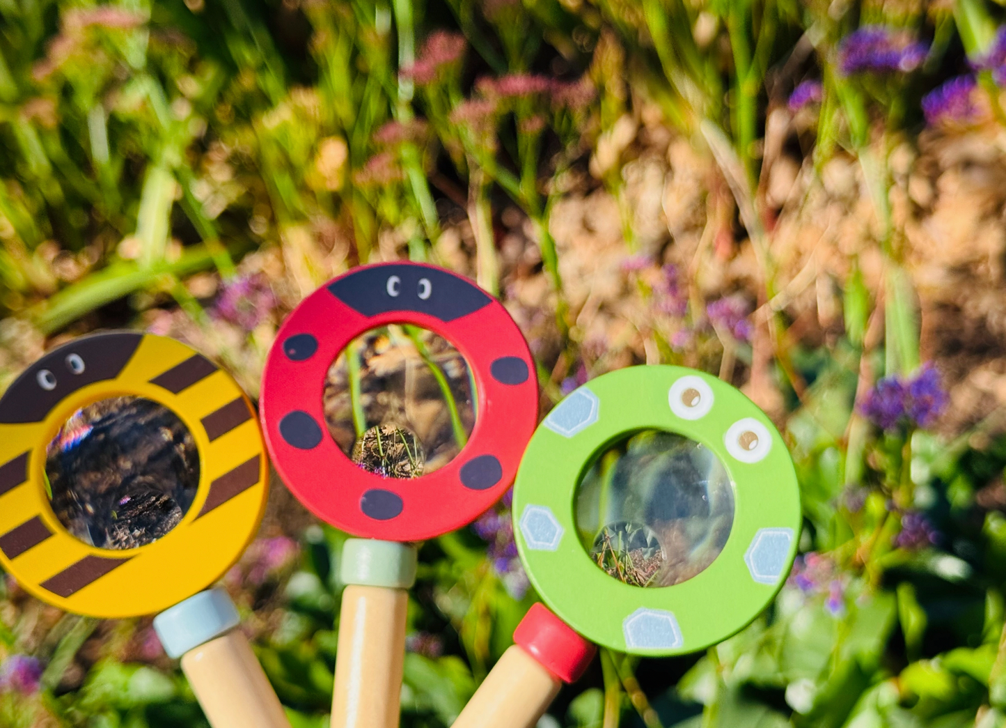 Wooden Magnifying Glass / Bee
