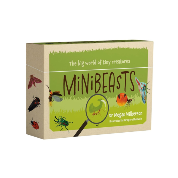 Minibeasts Cards