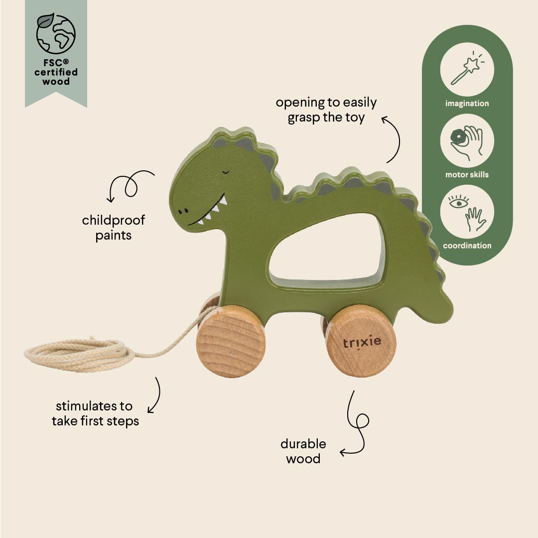 Wooden Pull Along Toy / Dino