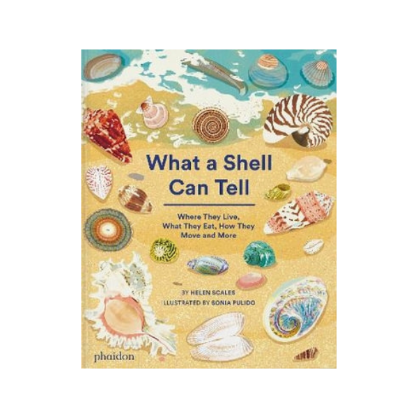 What A Shell Can Tell