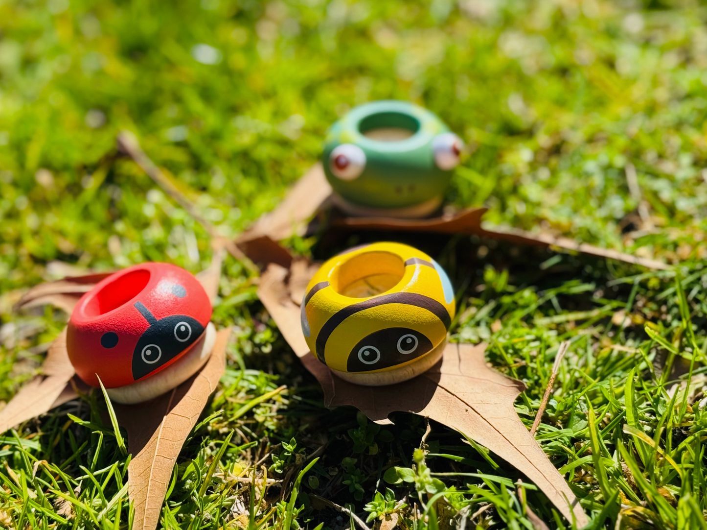 Wooden Magnifying Prism / Ladybug