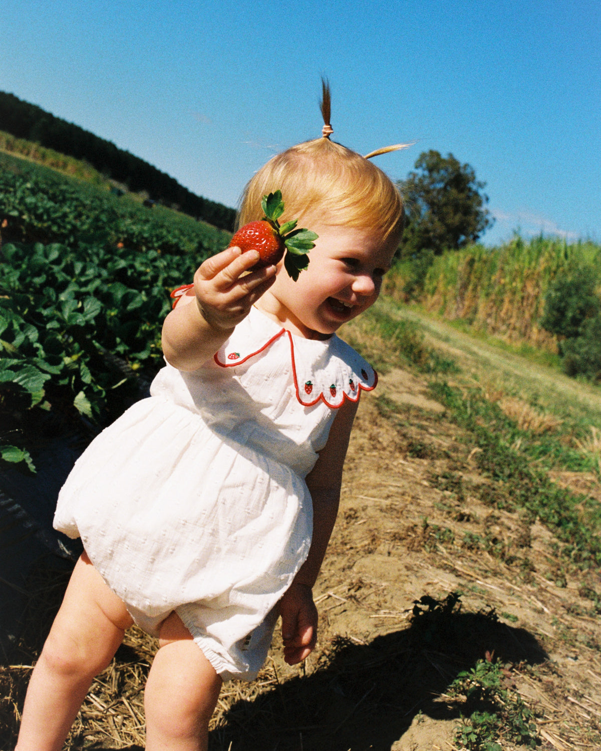 Scallop Collar Strawberry Romper