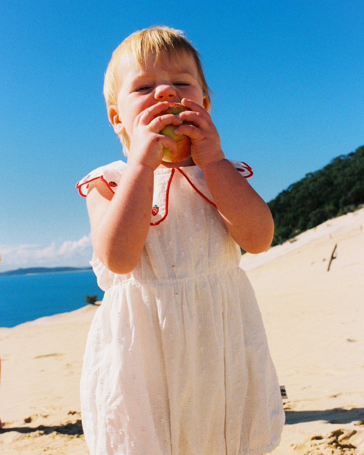 Scallop Collar Strawberry Romper