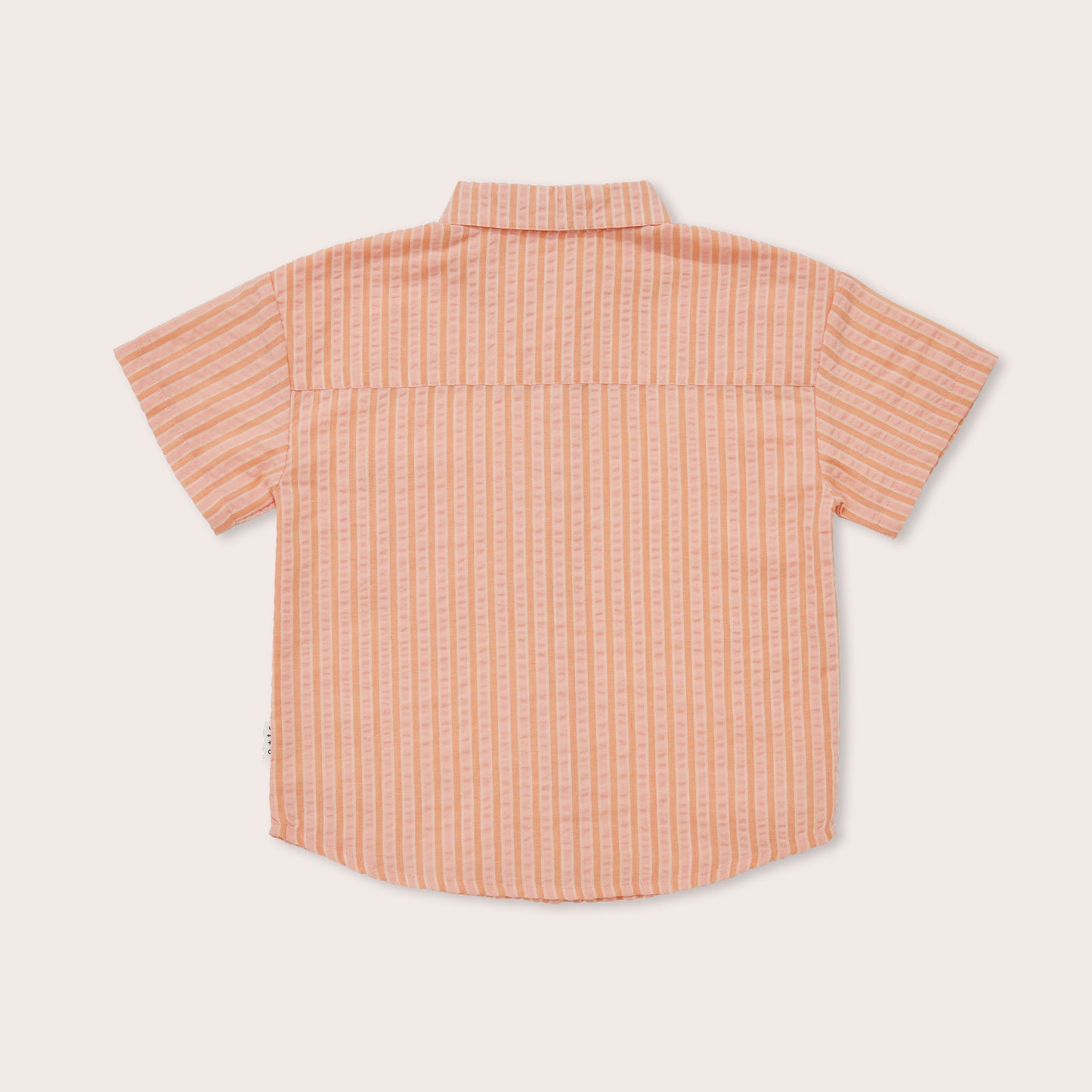 Cantaloupe Button Down Short Sleeve Shirt