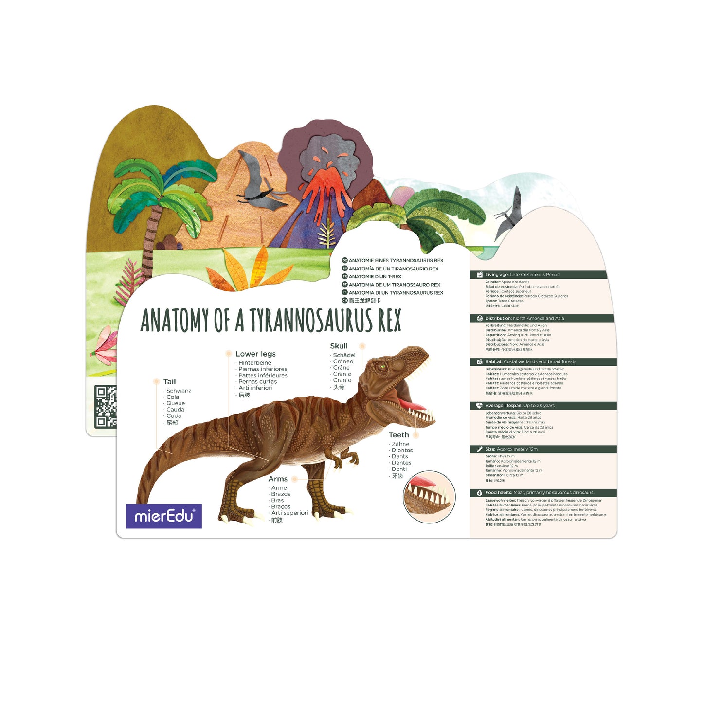 Tyrannosaurus Rex 3D Puzzle