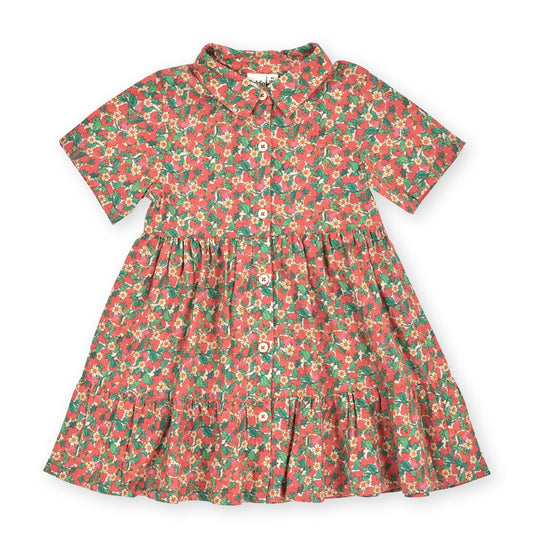 Strawberry Monica Dress