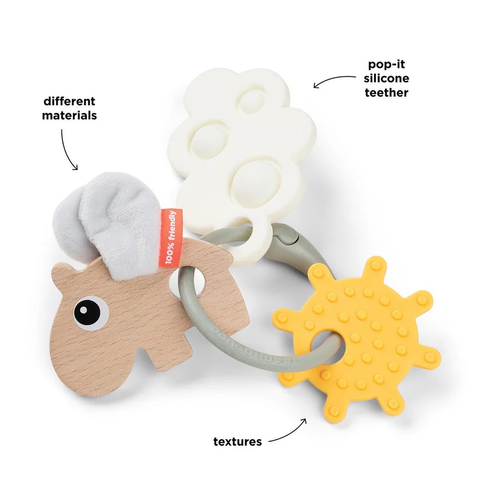 Sensory Activity Ring