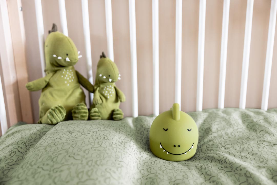 Dino Night Light