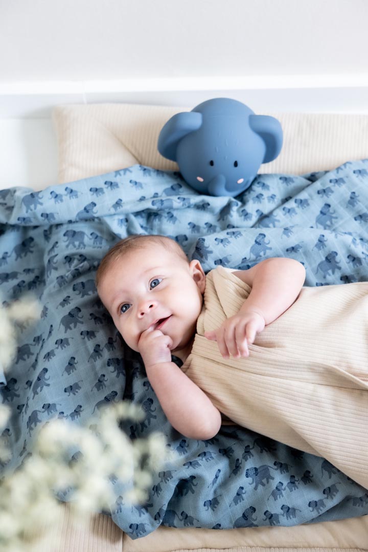 Elephant Night Light