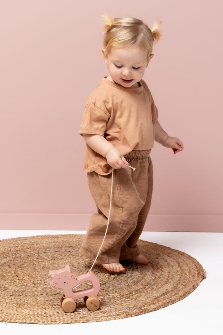 Wooden Pull Along Toy / Cat