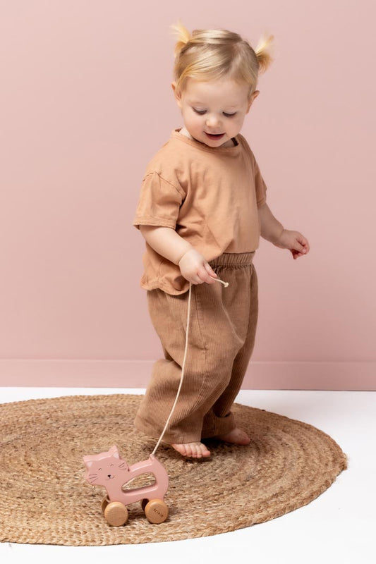 Wooden Pull Along Toy / Cat