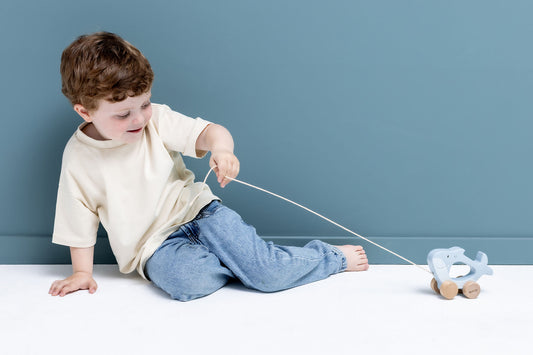 Wooden Pull Along Toy / Shark