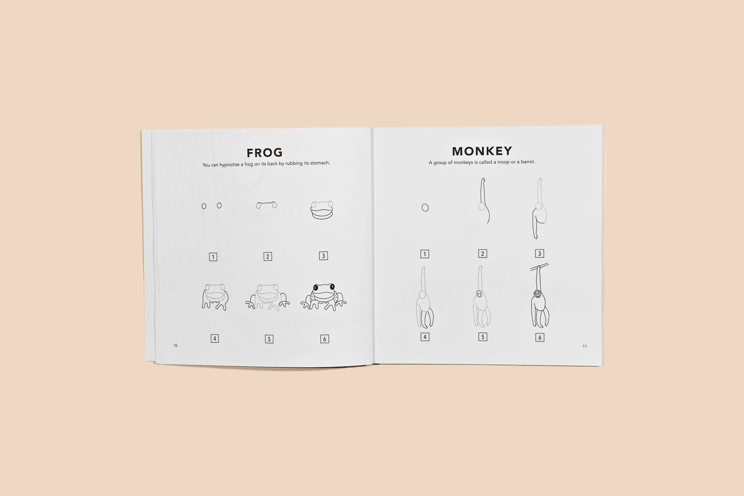 How to Draw Art Book / All The Animals