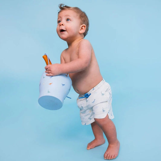 Beach Bucket Set / Dinosaur