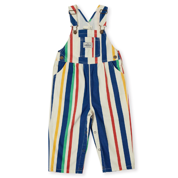 Austin 90's Bold Stripe Denim Overalls