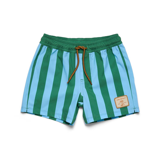 Deck Stripe Board Short