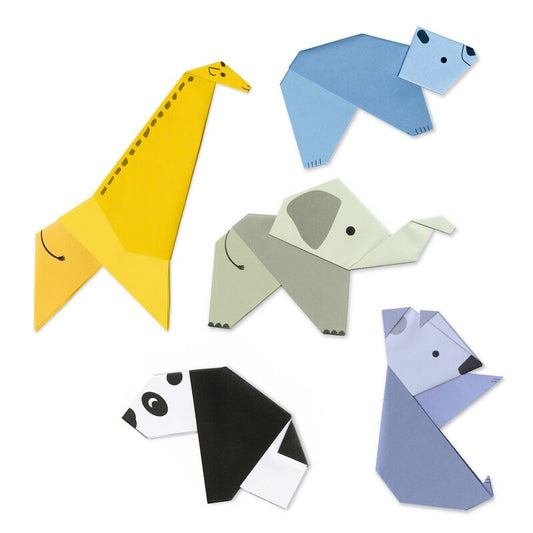 First Paper Folding Activity