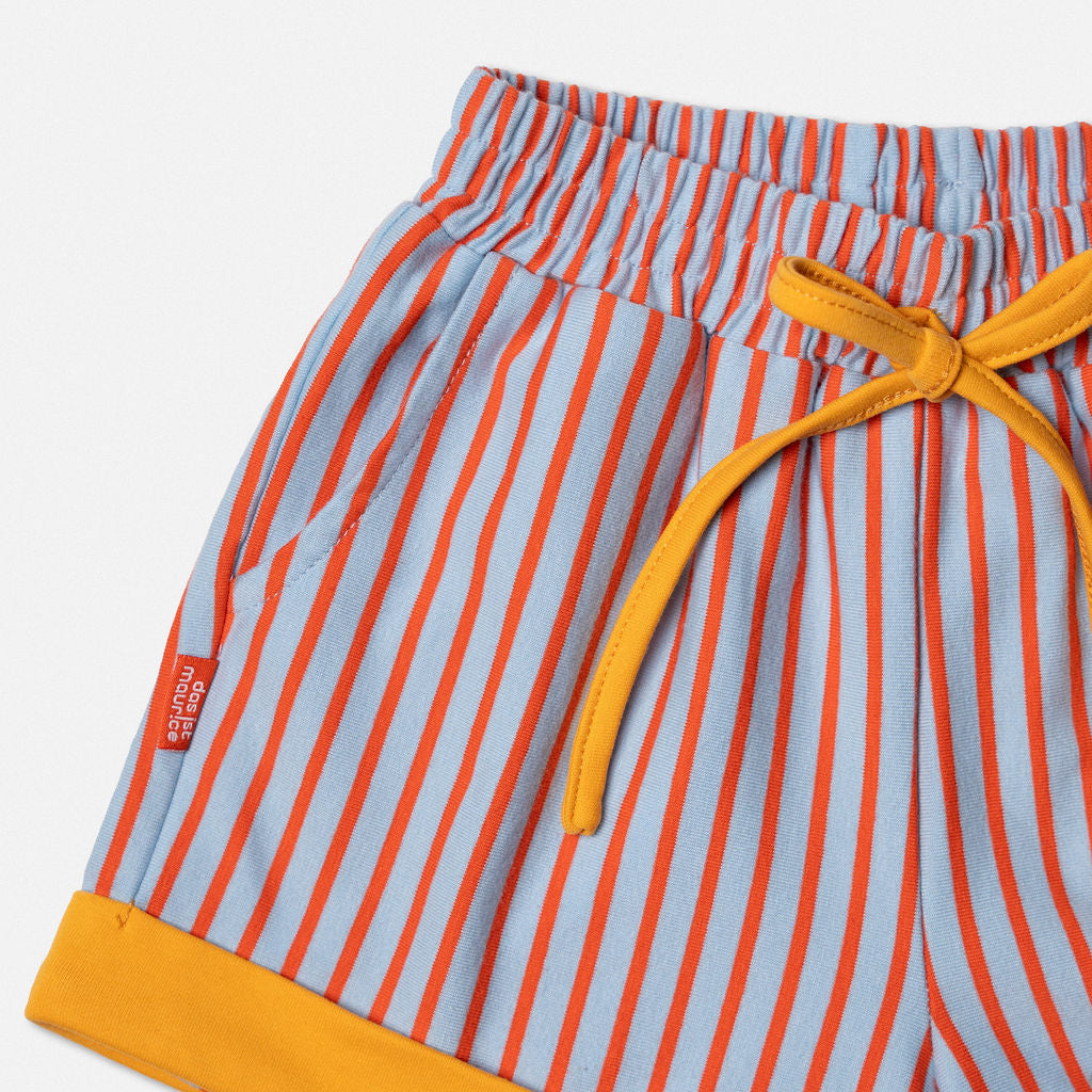 Blue & Orange Stripe Shorts