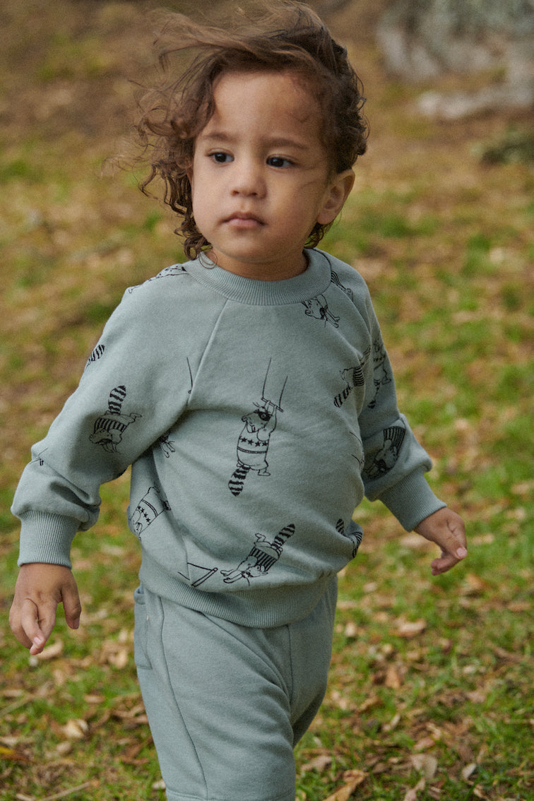 Emerson Sweater / Raccoon Rhapsody