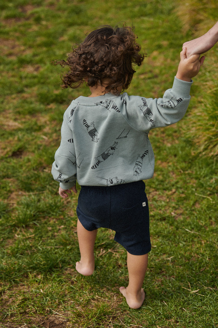 Emerson Sweater / Raccoon Rhapsody