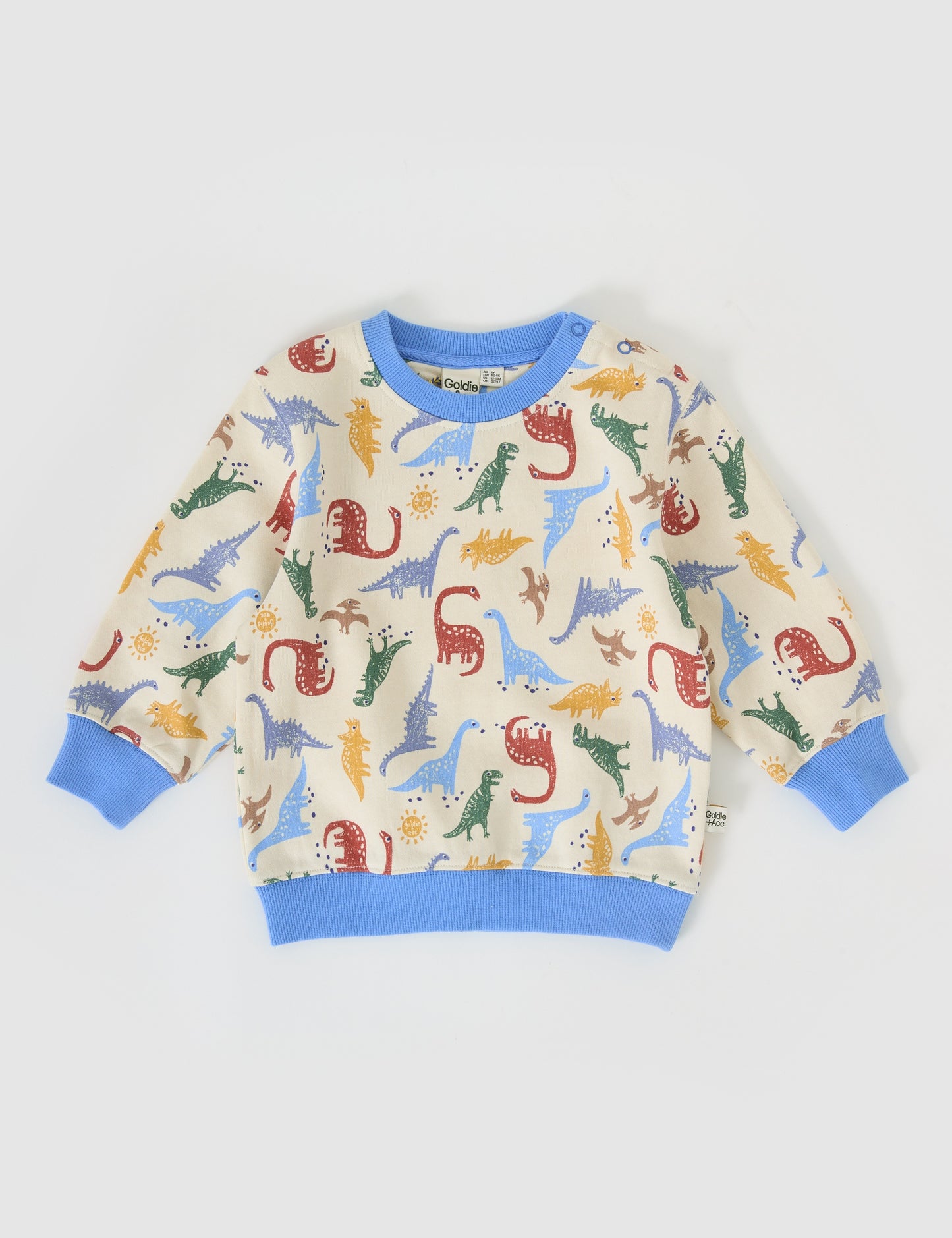 Dino-Mite Relaxed Terry Sweater