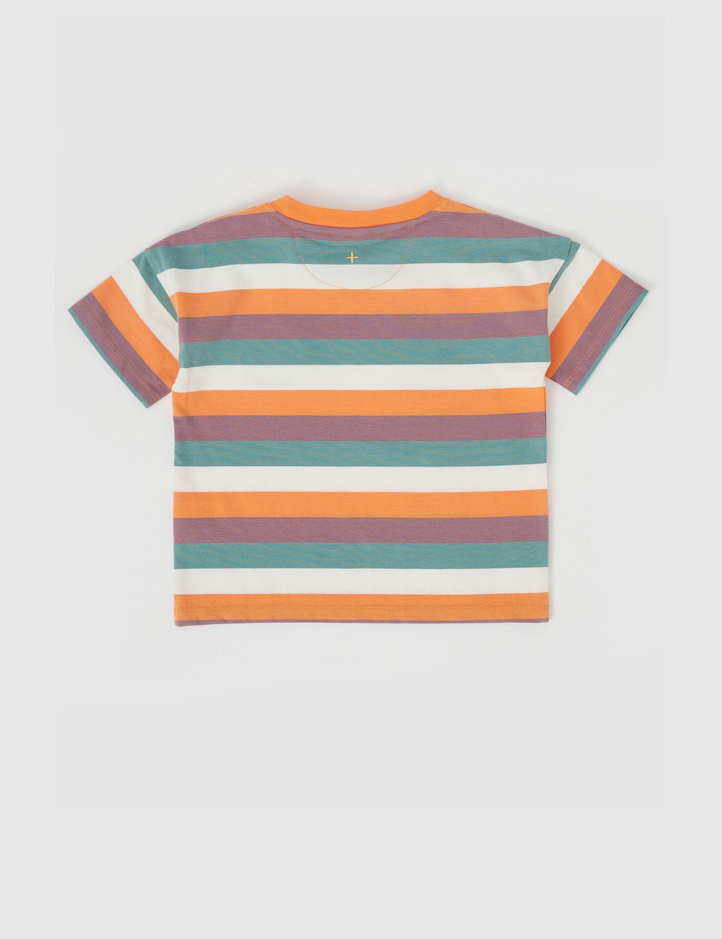 Dino Valley Nostalgia Stripe T-Shirt