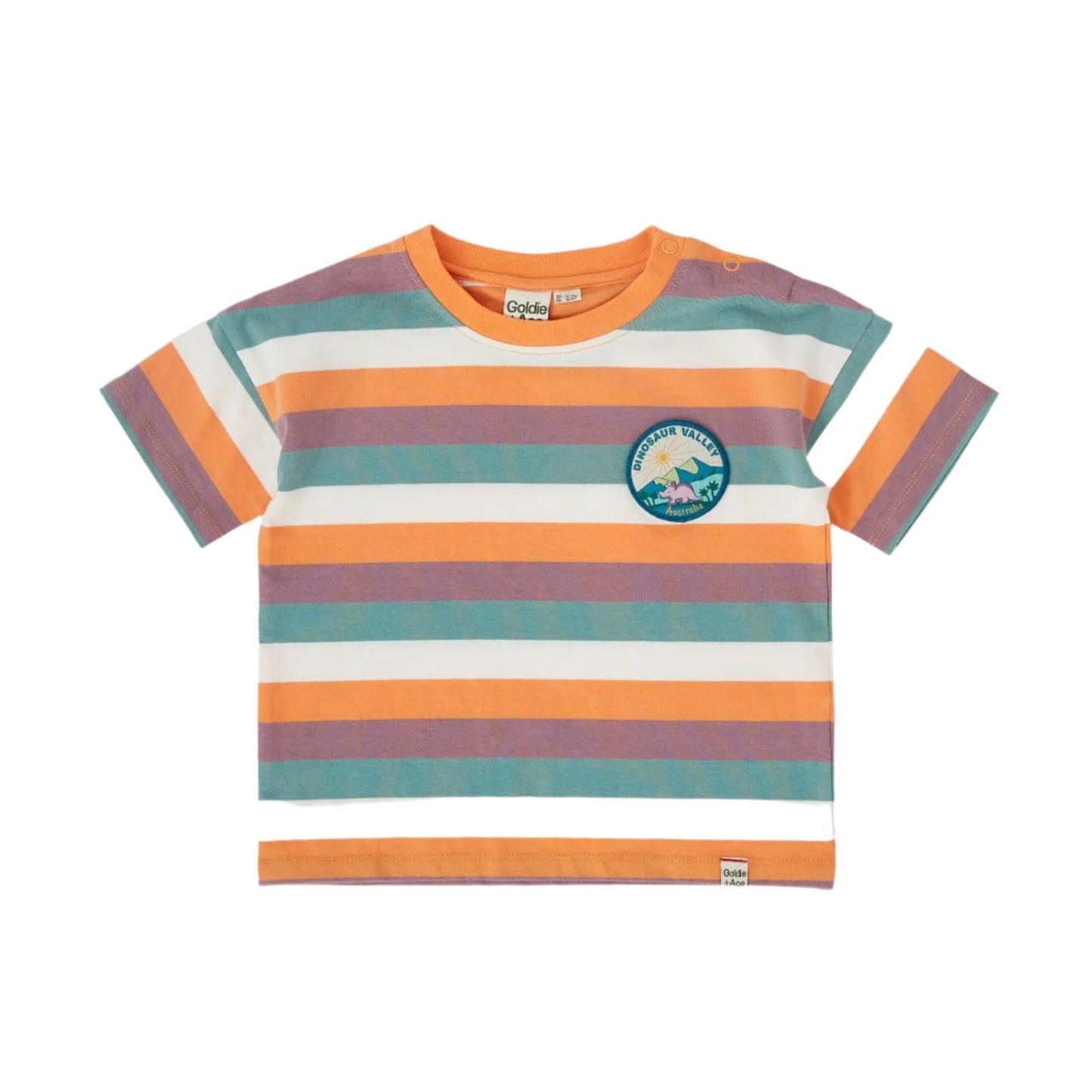 Dino Valley Nostalgia Stripe T-Shirt