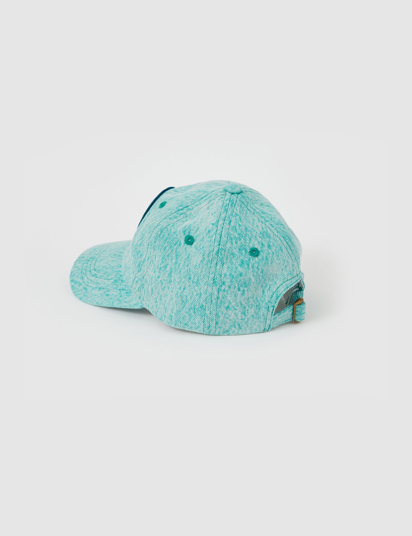 Tate Dino Valley Denim Cap