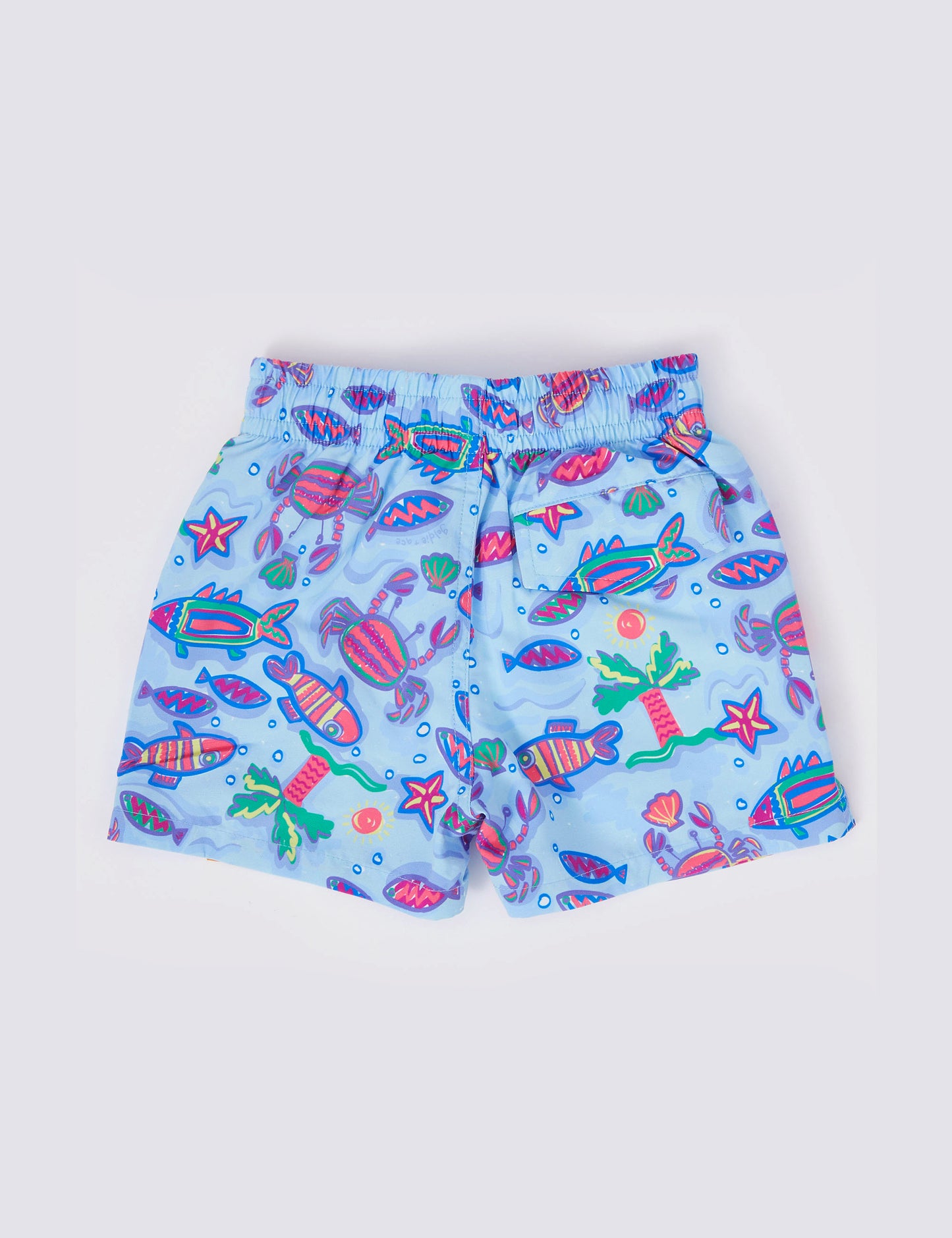 Daydream Island Board Shorts