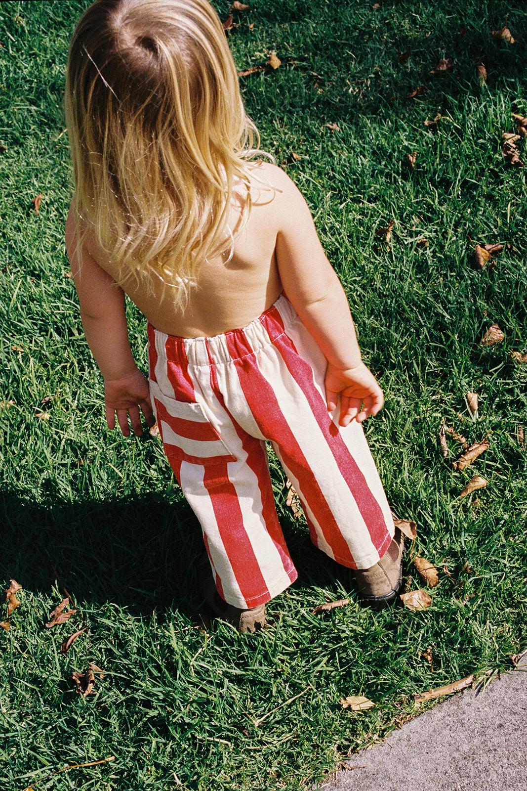 Organic Everyday Stripe Pant / Sauce