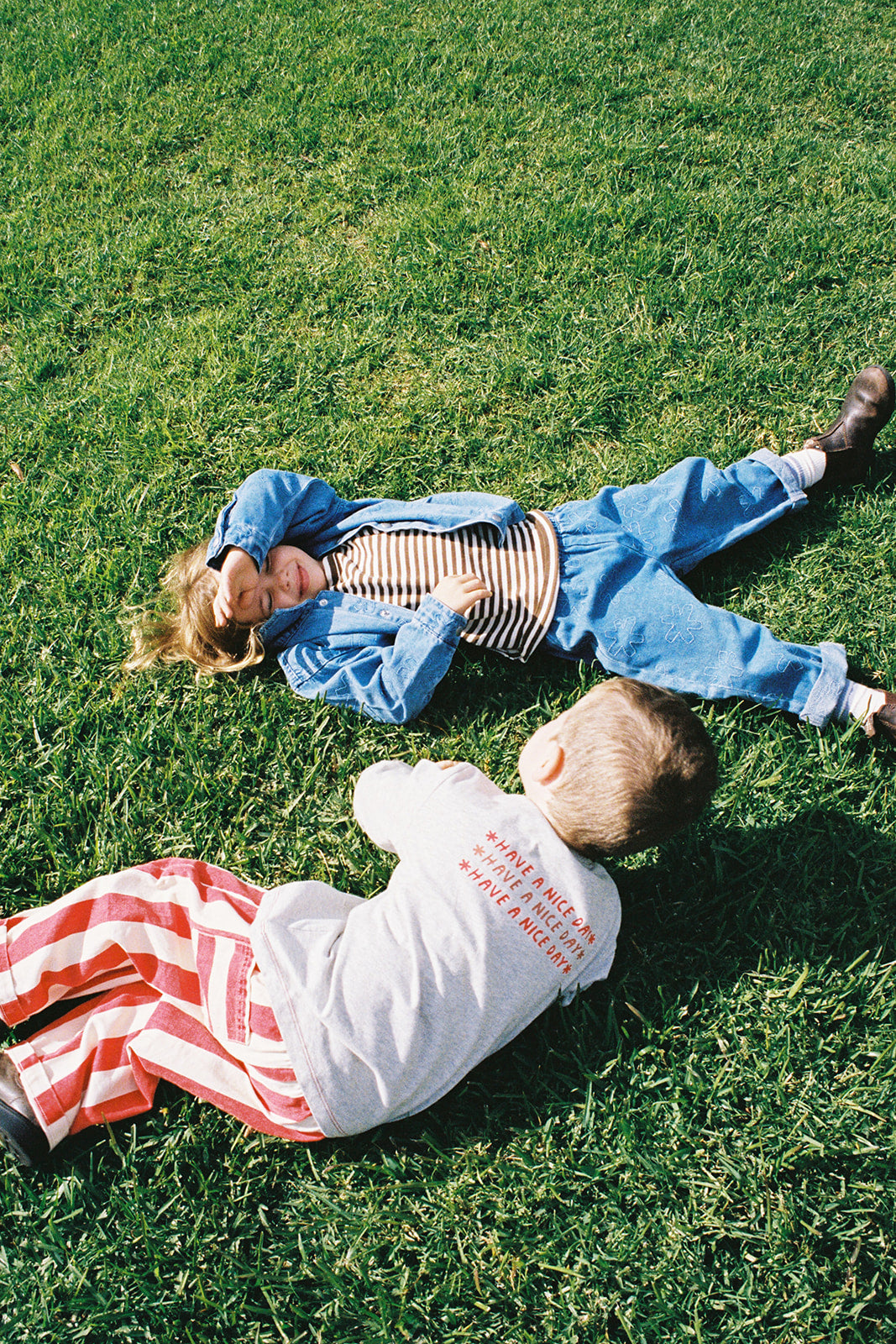 Organic Everyday Stripe Pant / Sauce