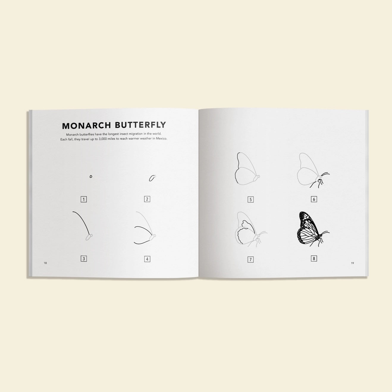 How to Draw Art Book / Bugs
