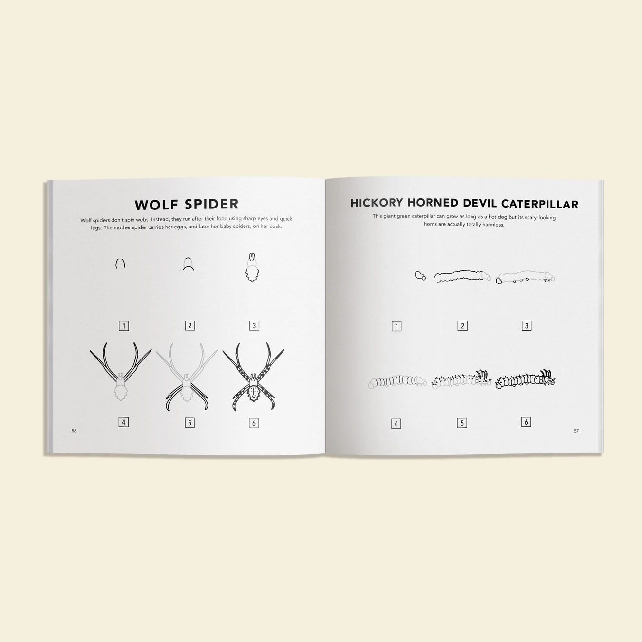 How to Draw Art Book / Bugs