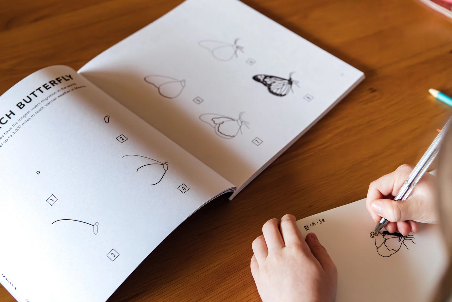 How to Draw Art Book / Bugs