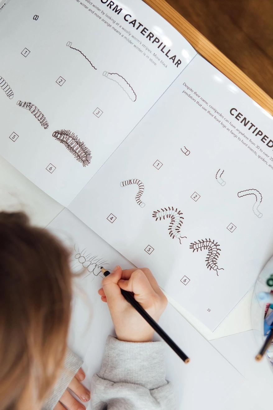 How to Draw Art Book / Bugs