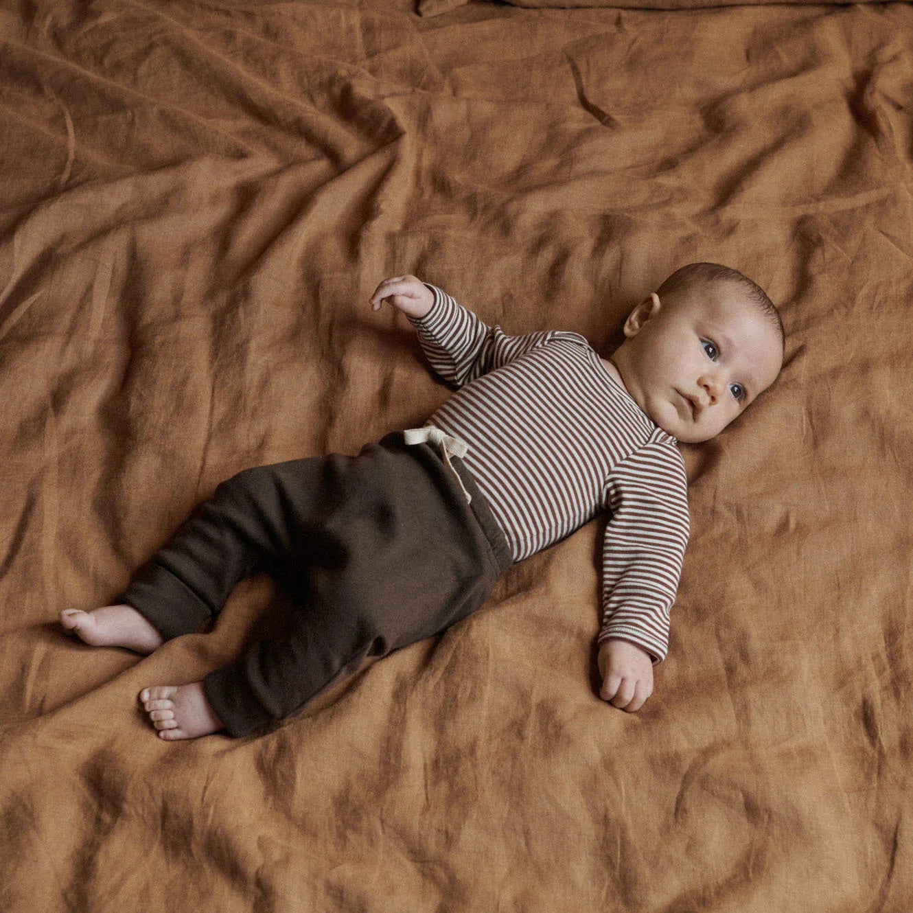 Cotton Long Sleeve Bodysuit / Pinecone Stripe