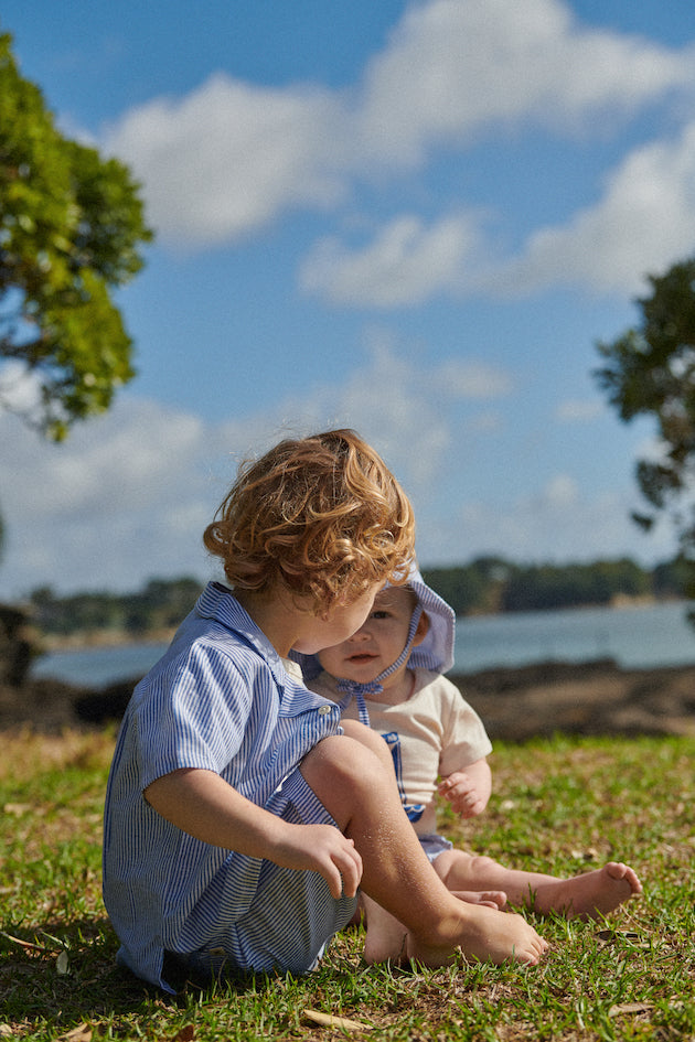James Shorts / Blue Stripe