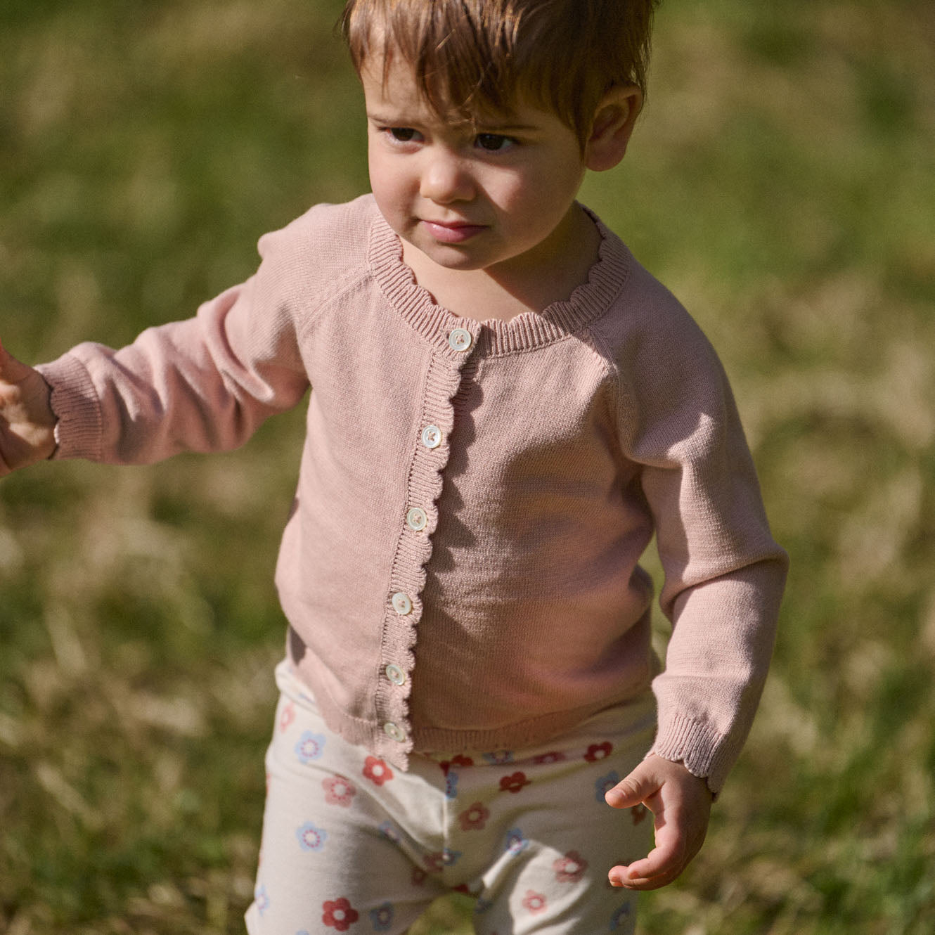 Liliette Cardigan / Rose Dust