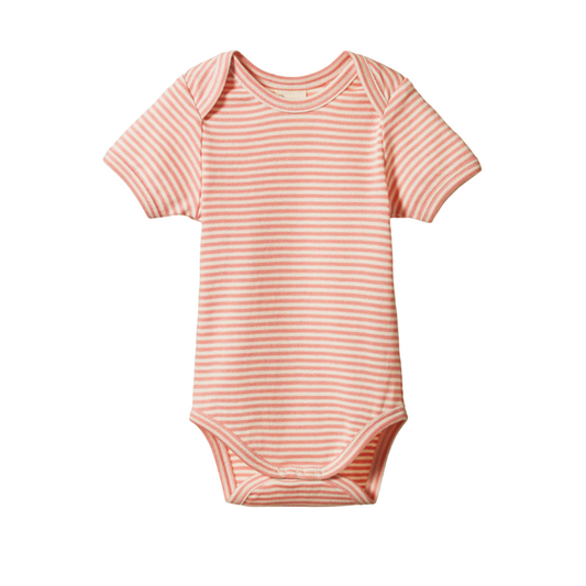 Cotton Short Sleeve Bodysuit / Peony Stripe