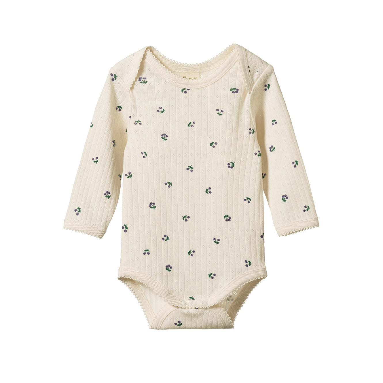 Pointelle Long Sleeve Bodysuit / Winter Berry