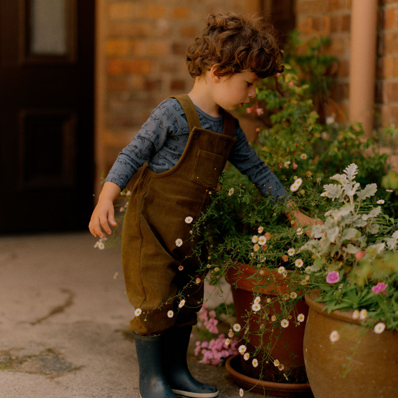 Tipper Overalls / Herb