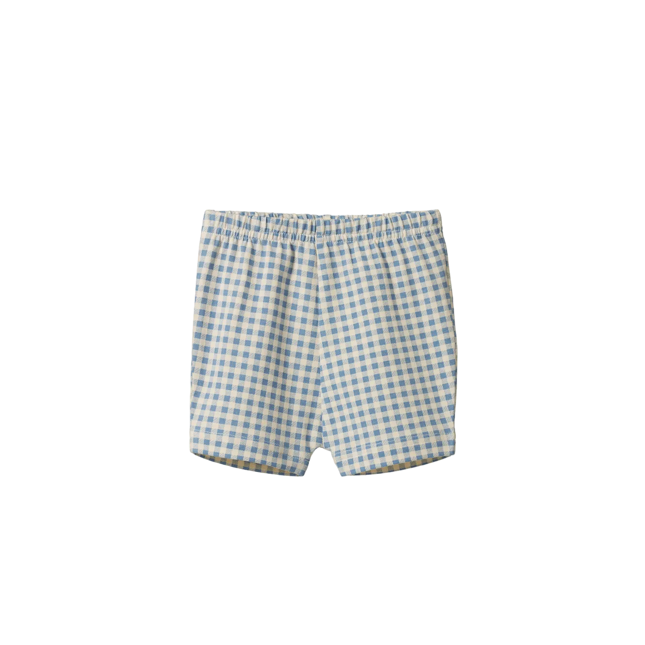 Selby Shorts / Blue Gingham